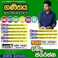 ඔන්ලයින් ගණිතය පන්ති - ශ්‍රේණිය 6, 7, 8, 9, 10, 11