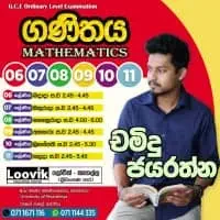 Online Maths Classes - Grades 6, 7, 8, 9, 10, 11mt2
