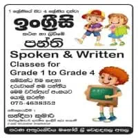 Grade 1 to 6 - English Classes