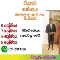 බුද්ධාගම, විද්‍යාව, ගණිතය, සිංහල භාෂාව සහ සාහිත්‍යය