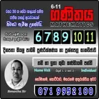 Mathematics in Sinhala / English Mediummt2