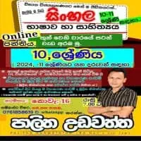 O/L and A/L Sinhala Language - Online and Physical Classesmt2