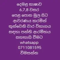 Tamil Second Language Online Classesmt2