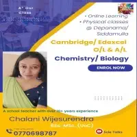 දස වසරක පළපුරුදු, පශ්චාත් උපාධිදාරි ජ්‍යාත්‍යන්තර පාසල් ගුරුවරියක විසින් පවත්වන රසායන / ජීව විද්‍යාmt3