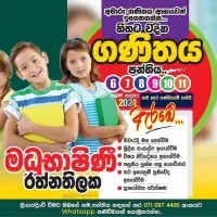 Grade 6-11 Maths and ICT - Group classes or individual classesmt3