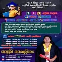 Maths, ENV, Sinhala, Tamil, English Classes - Grades 3, 4, 5