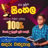 Grades 9, 10, 11 - Sinhala Language Tuition