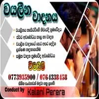 Violin Classes with Kalani Perera