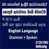 O/L English Language - Home Visiting Classesmt3