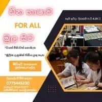 Chinese Language - Online and Physical Classesmt2