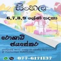 සිංහල භාෂාව පන්ති - ශ්‍රේණිය 6 සිට සා/පෙළ සහ උ/පෙ