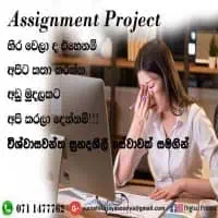 Assignment Project හිර වෙලා ද?