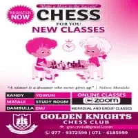 Chess Classes - Online and Physical Classes