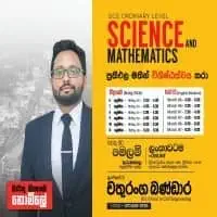 Grade 6-11 Science and Maths Tuition