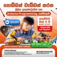 මාස 6ක මූලික electronic සහ Arduino programming පාඨමාලාව