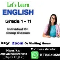 English Classes grades 1 - 11 - Individual or Group