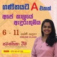 ශ්‍රේණිය 6-11 ගණිතය - ඔන්ලයින් පන්ති