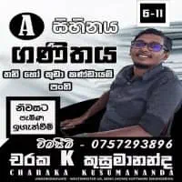 ශ්‍රේණිය 6-11 ගණිතය - පෞද්ගලික / කුඩා කණ්ඩායම් පන්ති