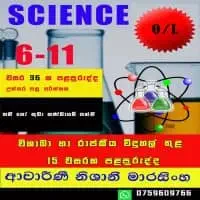 Science Grade 6-11 - Individual or small group classes