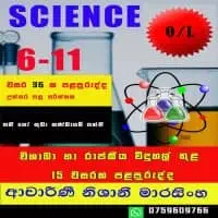 විද්‍යාව ශ්‍රේණිය 6-11 - පෞද්ගලික / කුඩා කණ්ඩායම් පන්ති