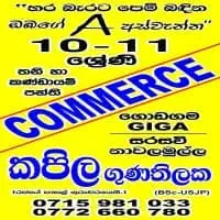 ශ්‍රේණිය 10/11 වාණිජ උපකාරක පන්ති