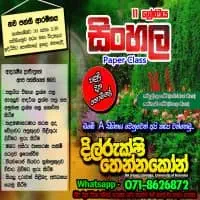 OL Sinhala Language Classesmt2