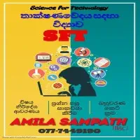 SFT - உ/த தொழில்நுட்ப அறிவியல்