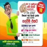 Grade 10 Sinhala, English, Maths, Science Classes