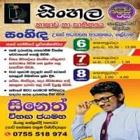 Sinhala Language and Literature - Sineth Vihanga Jayamaha