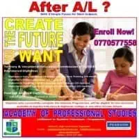 Academy of Professional Studiesmt2