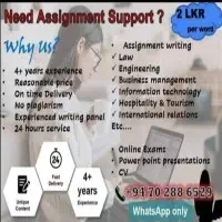 Assignment Writing Mastermt3