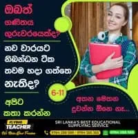 ටයිප් සැකසීම