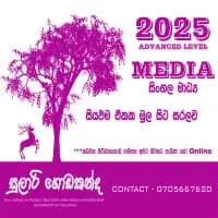 2024, 2025 A/L Media
