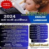 Grade 6-11 English Tuition