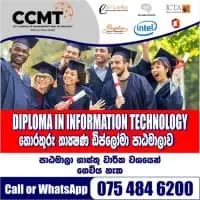 Diploma in Information Technology / Diploma in English Language
