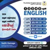 Grade 1 - 5 English Classes - Online