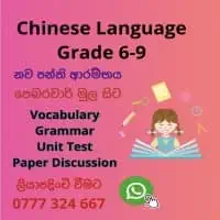 Chinese Language classes
