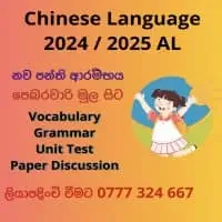 Chinese Language classesmt2