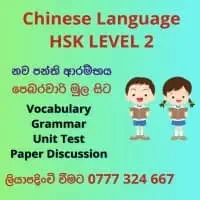 Chinese Language classesmt3