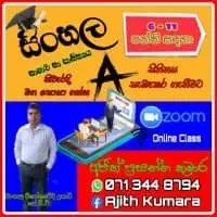 Sinhala Language and Literature - Grades 6, 7, 8, 9, 10, 11, O/Lmt2