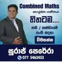 Combined Maths - Individual / Group Classes