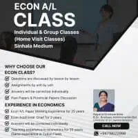 Econ Home Visit Classes Individual and group classes | Sinhala Medium