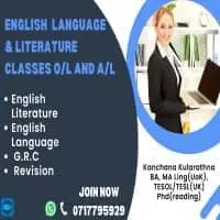 English Language and literature classes (Cambridge / Edexcel / National)