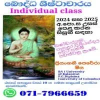 Buddhist Civilization Individual Classes