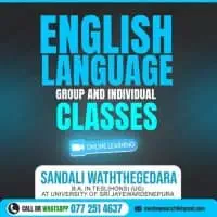 ඔන්ලයින් ඉංග්‍රීසි පන්ති - කණ්ඩායම් සහ පෞද්ගලික පන්ති