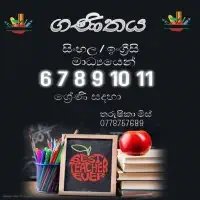 Mathematics Online Classes - Grade 6-11mt3