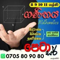 Mathematics - Grades 8, 9, 10, 11 - Sinhala mediummt2