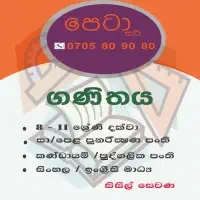 Mathematics - Grades 8, 9, 10, 11 - Sinhala mediummt3