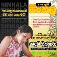 O/L Sinhala Classmt2