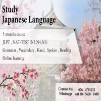 Study Japanese Language